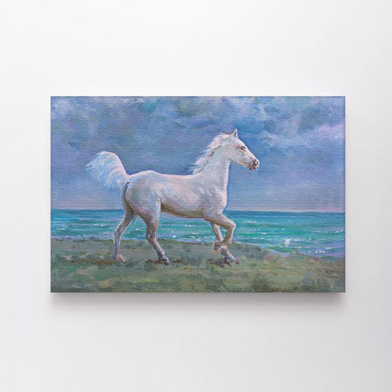 clean-landscape__canvas-01135-white-horse-galloping-on-shore