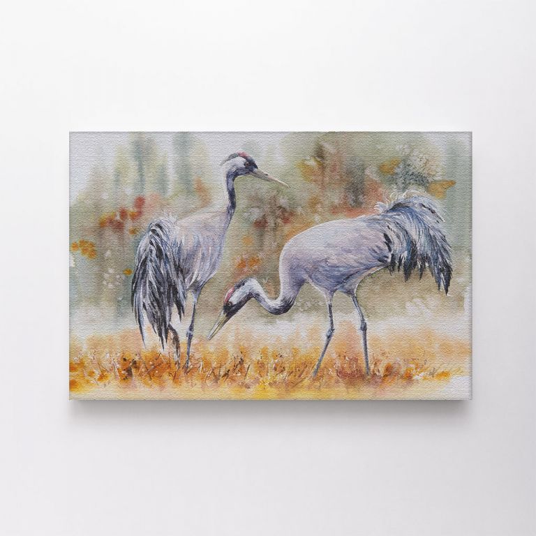 clean-landscape__canvas-01148-pair-of-a-crane-birds-on-a-meadow