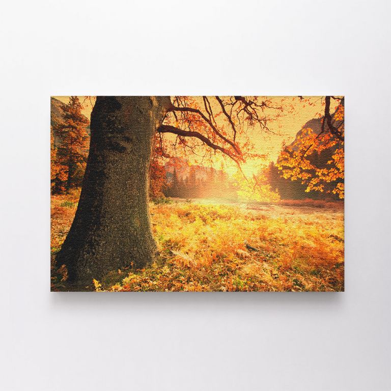 clean-landscape__canvas-01531-autumn-scene