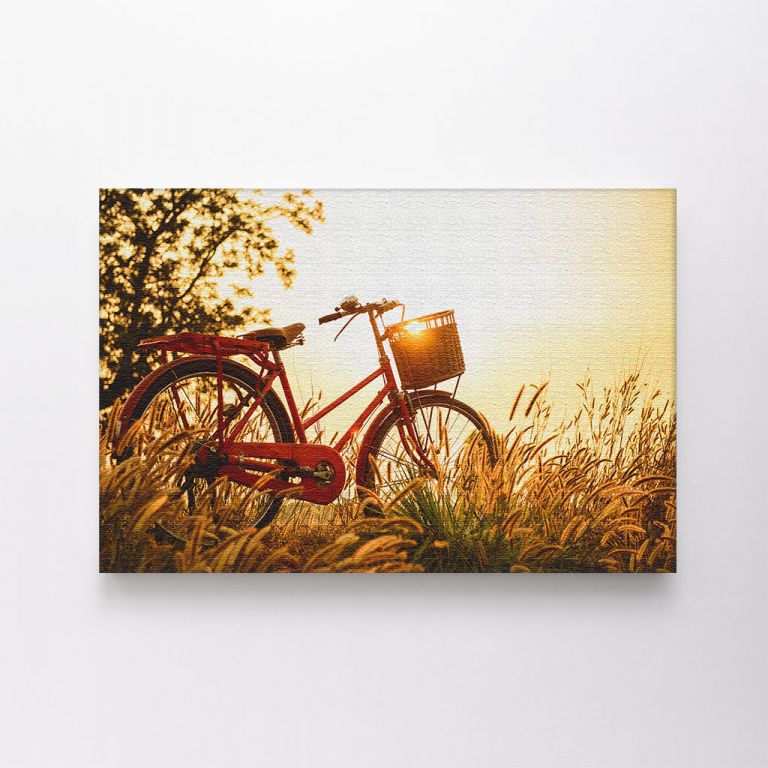 clean-landscape__canvas-01547-beautiful-landscape-image-bicycle-sunset