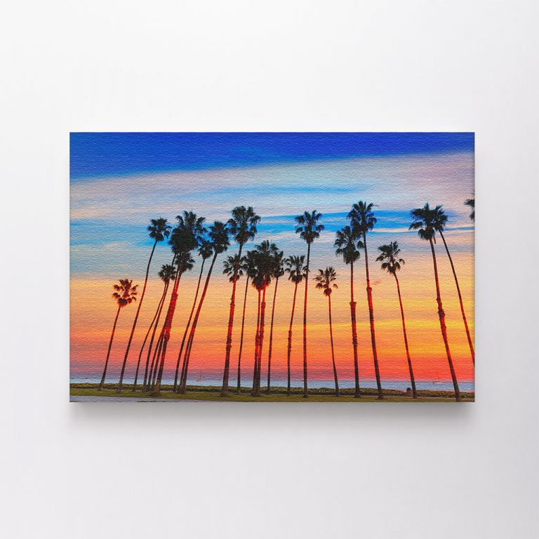 clean-landscape__canvas-01576-california-sunset-palm-tree-rows-santa