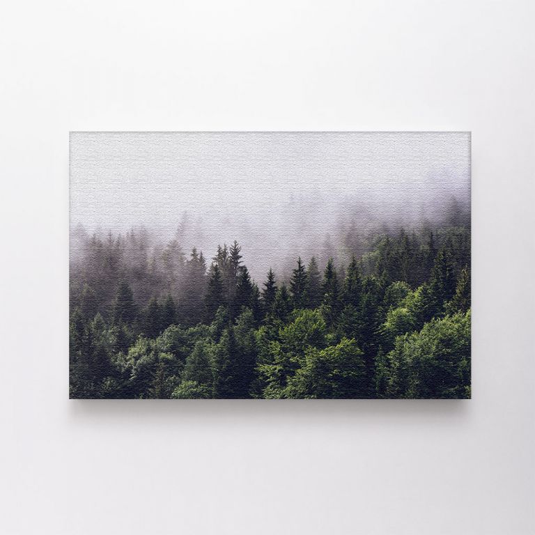 clean-landscape__canvas-01613-forested-mountain-slope-low-lying-cloud