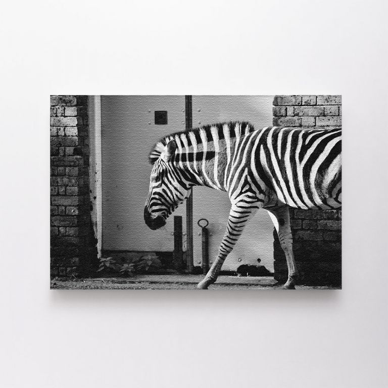 clean-landscape__canvas-03523-black-white-zebra-abstract-stock-photo