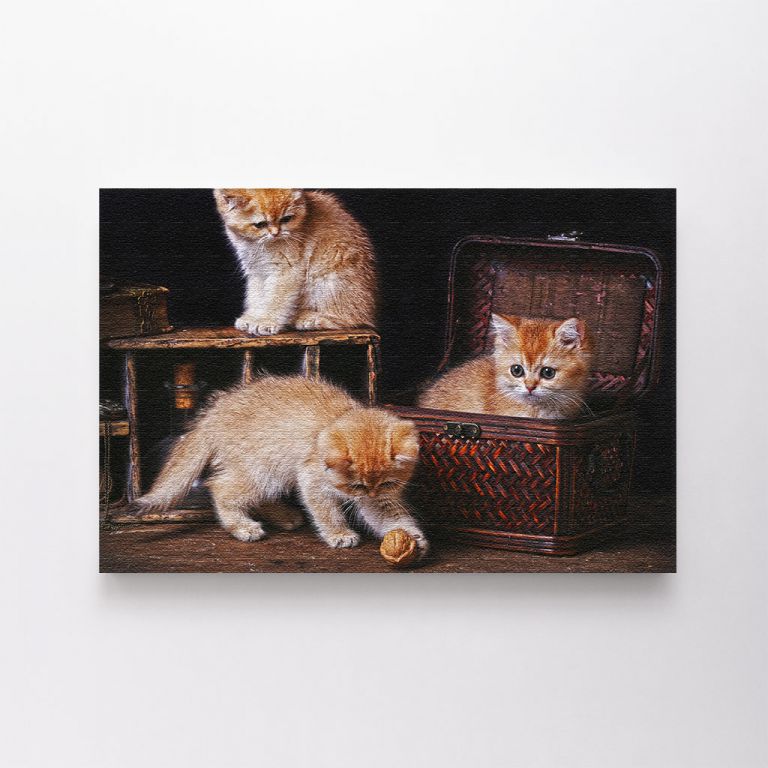 clean-landscape__canvas-03525-british-short-hair-cats-on-play