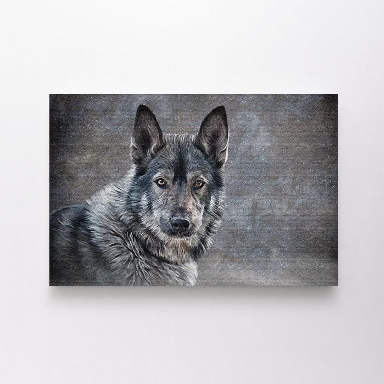 clean-landscape__canvas-03543-drawing-mixed-breed-dog-wolf-on