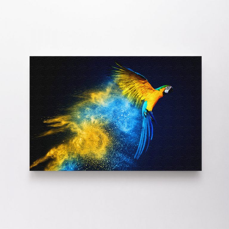 clean-landscape__canvas-03548-flying-ara-parrot-over-colourful-powder