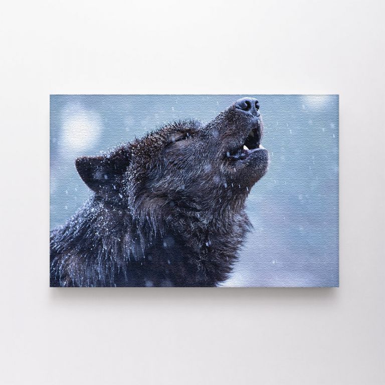 clean-landscape__canvas-03560-howling-canadian-wolf-winter-against-background