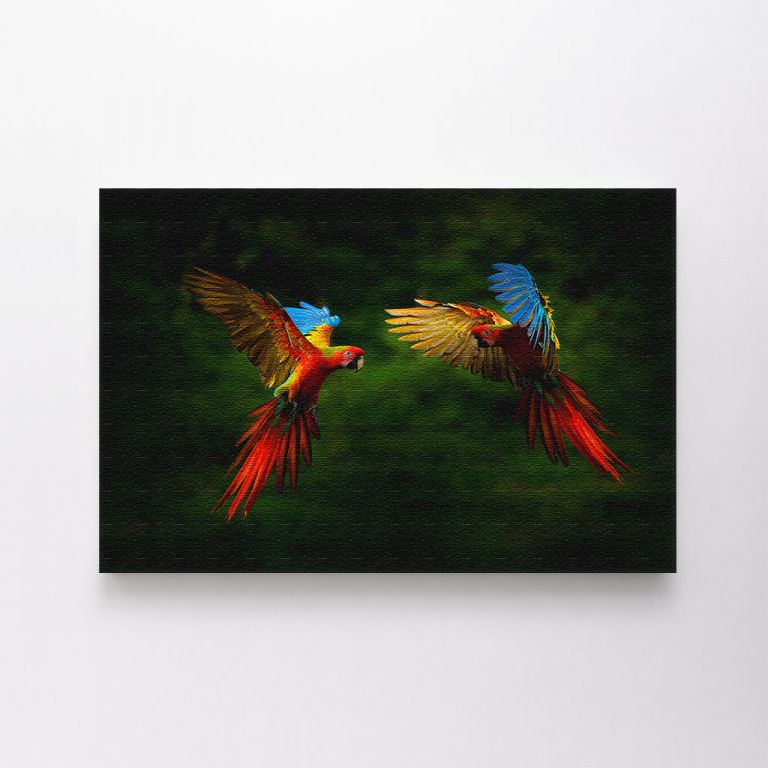 clean-landscape__canvas-03562-hybrid-parrots-forest-macaw-parrot-flying