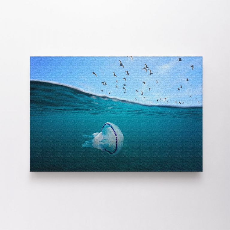 clean-landscape__canvas-03568-mediterranean-gulls-flying-sky-barrel-jellyfish