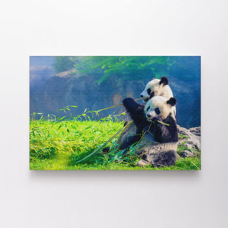 clean-landscape__canvas-03575-mother-panda-her-baby-snuggling-eating