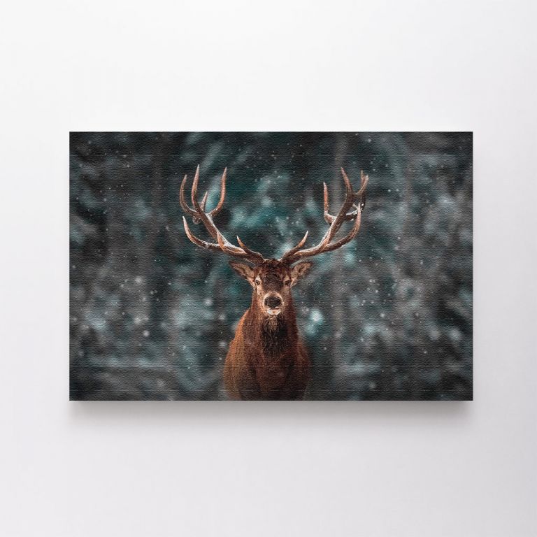 clean-landscape__canvas-03578-noble-deer-male-winter-snow-forest