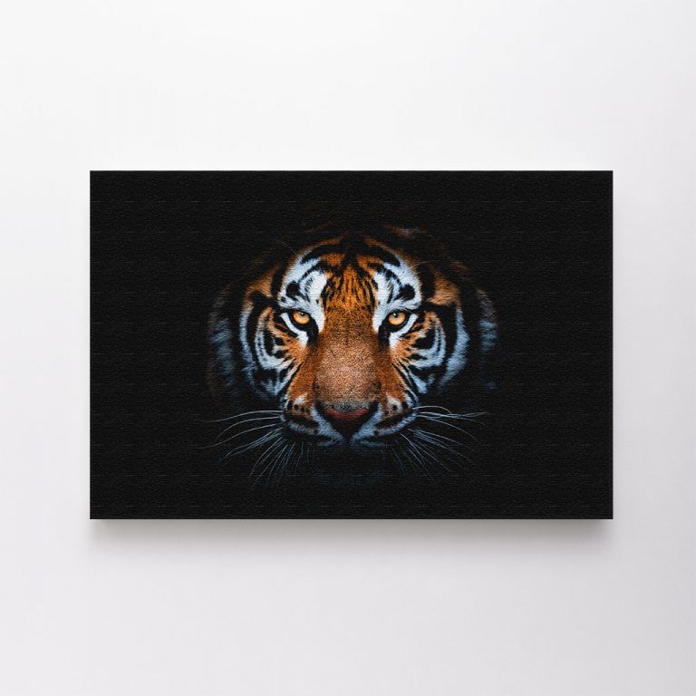 clean-landscape__canvas-03596-portrait-tiger-black-background