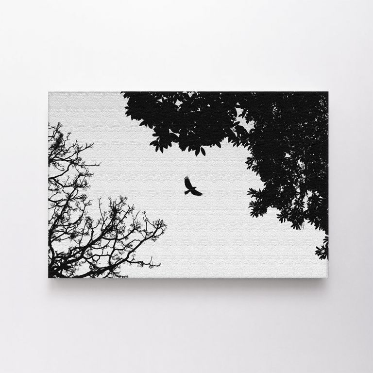 clean-landscape__canvas-03602-silhouette-bird-flying-between-two-trees