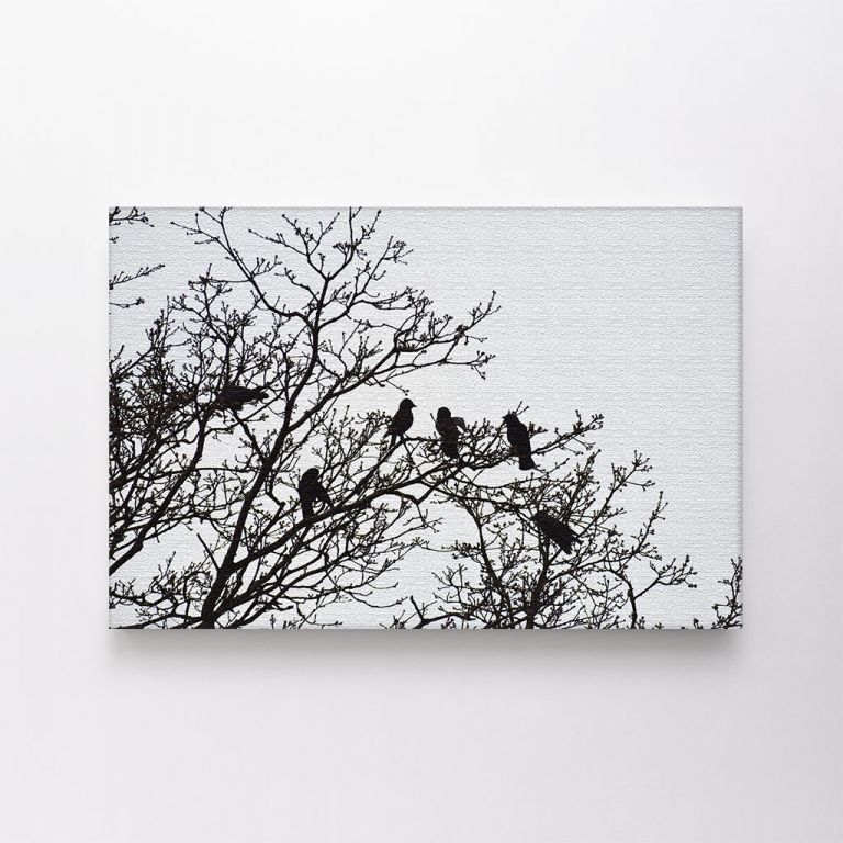 clean-landscape__canvas-03605-silhouettes-crows-birds-on-bare-tree