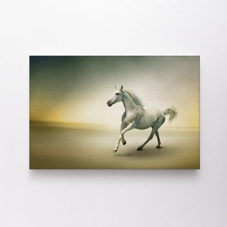 clean-landscape__canvas-03628-white-horse-motion-108319508