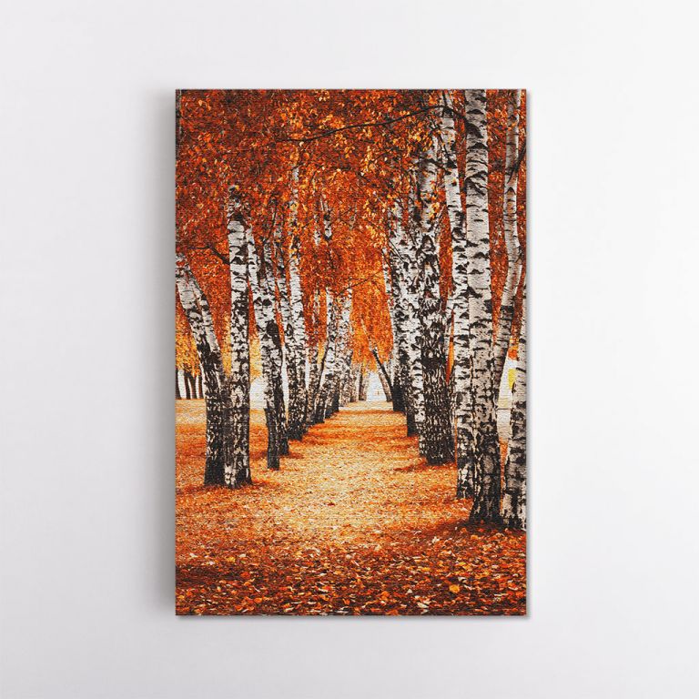 clean-portrait__canvas-11501-autumn-birch-forest