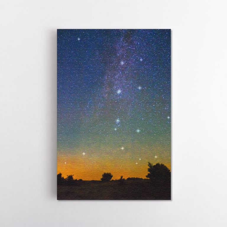 clean-portrait__canvas-11507-milky-way-over-trees-silhouette