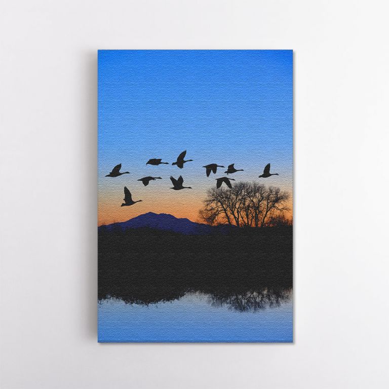 clean-portrait__canvas-11510-canadian-geese-flying-over-riparian-pool