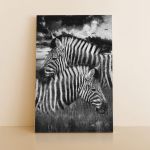 pinakas-se-kamva-kathetos-saloni-m2-13502-lovely-couple-zebra