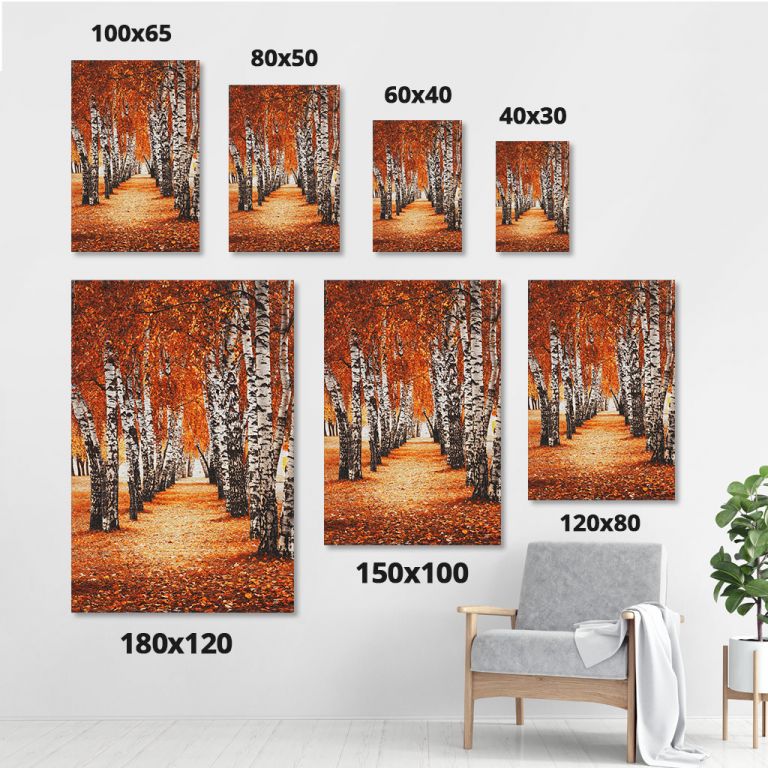 pinakas-se-kamva-kathetos-saloni-sizes-11501-autumn-birch-forest