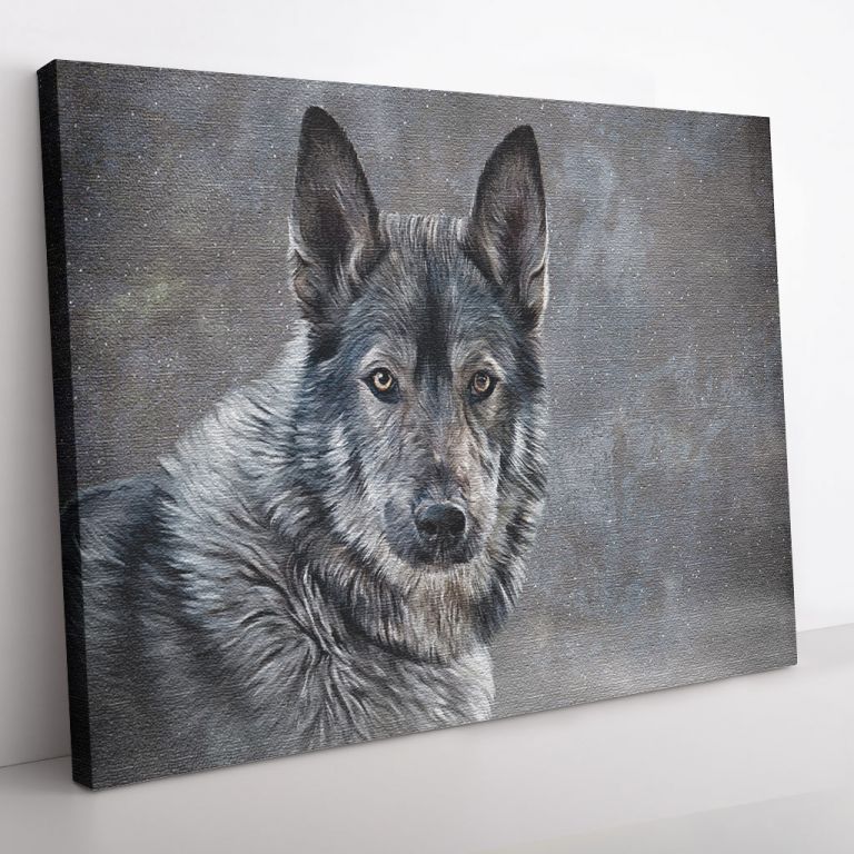 pinakas-se-kamva-orizontios-3d-03543-drawing-mixed-breed-dog-wolf-on