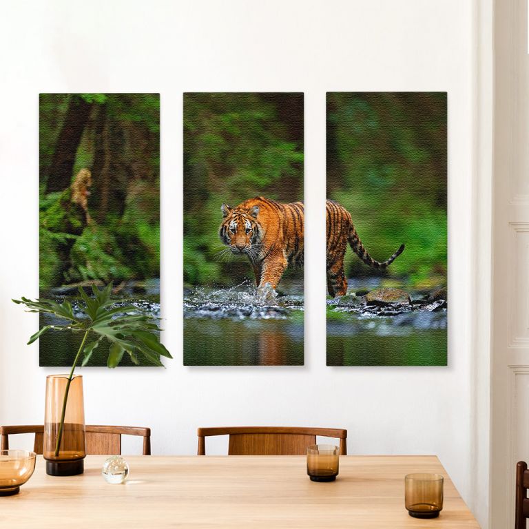 pinakas-se-kamva-orizontios-kouzina-b-03513-amur-tiger-walking-water-dangerous-animal