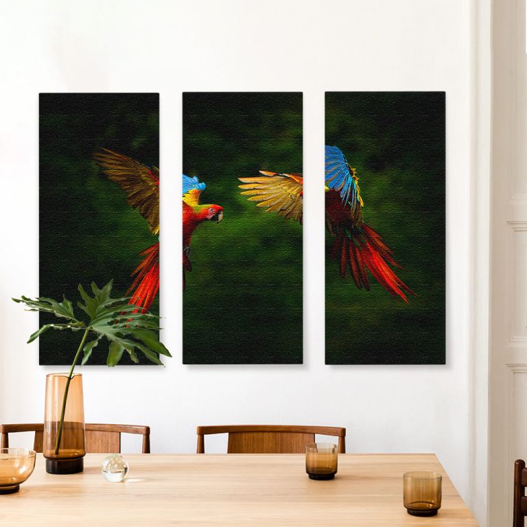 pinakas-se-kamva-orizontios-kouzina-b-03562-hybrid-parrots-forest-macaw-parrot-flying