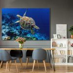 pinakas-se-kamva-orizontios-kouzina-c-03557-green-sea-turtle-swimming-above-coral