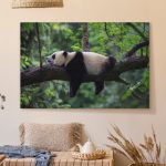 pinakas-se-kamva-orizontios-kouzina-e-03588-panda-bear-sleeping-on-tree-branch