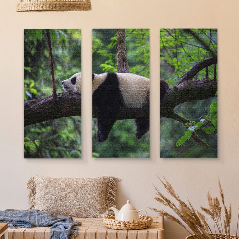 pinakas-se-kamva-orizontios-kouzina-j-03588-panda-bear-sleeping-on-tree-branch