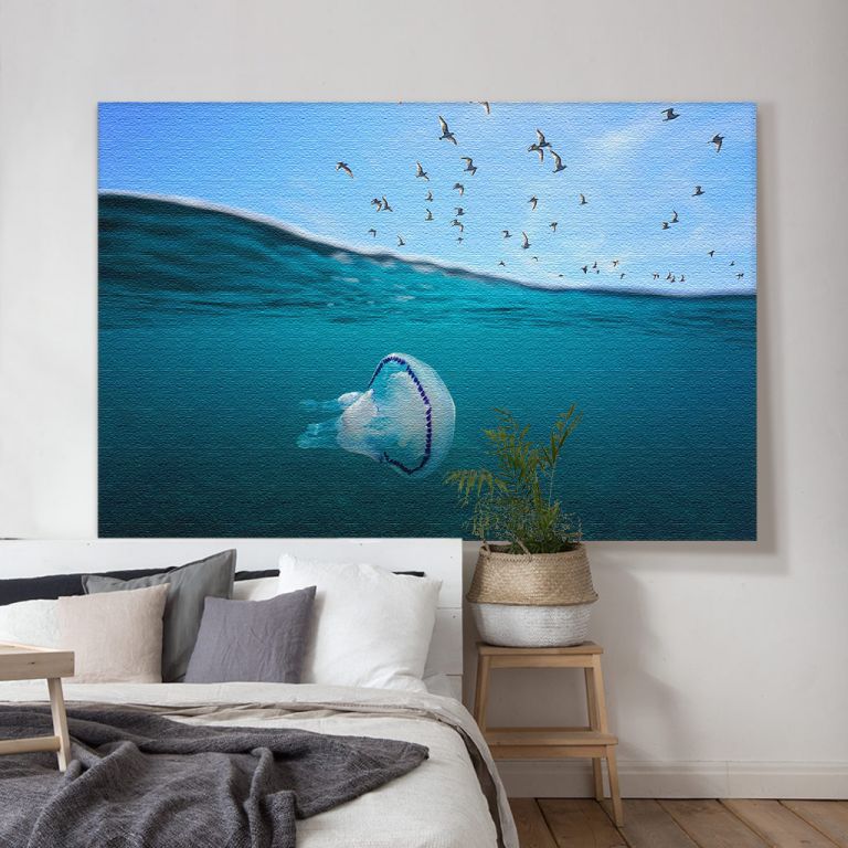 pinakas-se-kamva-orizontios-krevatokamara-a-03568-mediterranean-gulls-flying-sky-barrel-jellyfish