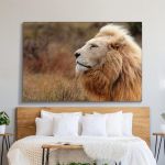 pinakas-se-kamva-orizontios-krevatokamara-j-03561-huge-male-white-lion-lying-down