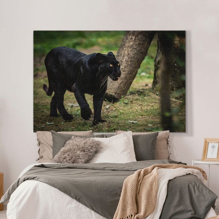 pinakas-se-kamva-orizontios-krevatokamara-l-03522-black-panther-forest