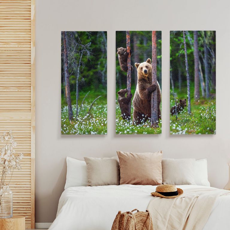 pinakas-se-kamva-orizontios-krevatokamara-p-03601-shebear-bear-cubs-summer-forest-on