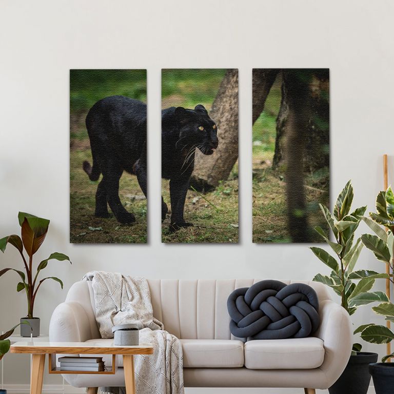 pinakas-se-kamva-orizontios-saloni-b–103522-black-panther-forest