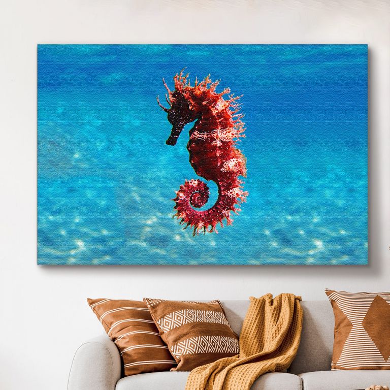 pinakas-se-kamva-orizontios-saloni-d-03569-mediterranean-seahorse-hippocampus-guttulatus