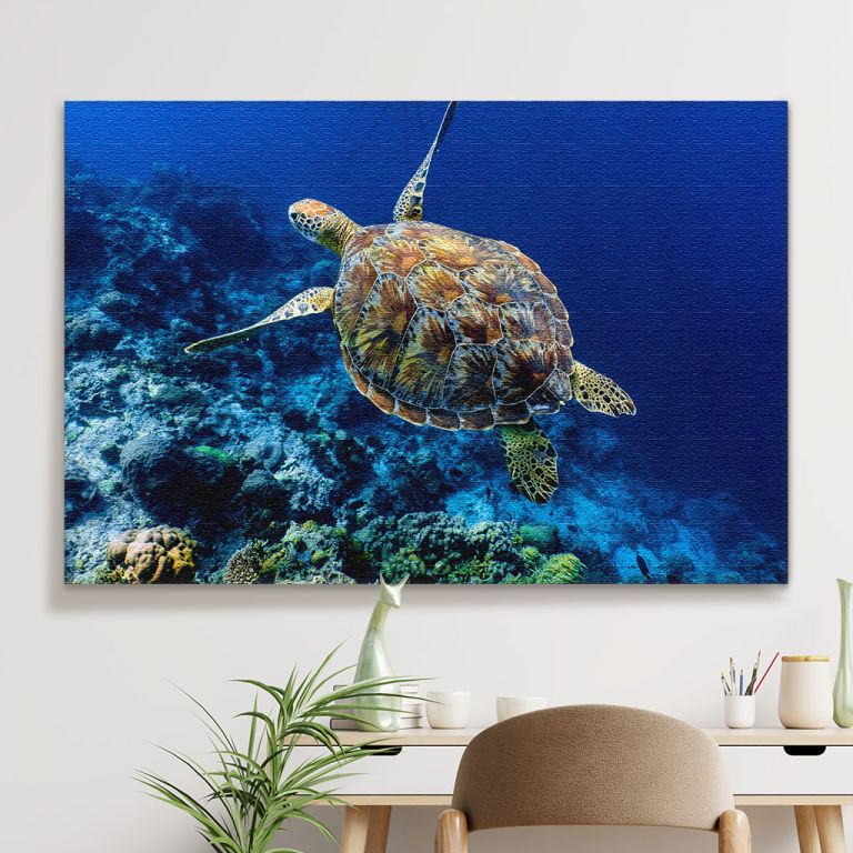 pinakas-se-kamva-orizontios-saloni-f-03557-green-sea-turtle-swimming-above-coral