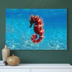 pinakas-se-kamva-orizontios-saloni-i-03569-mediterranean-seahorse-hippocampus-guttulatus