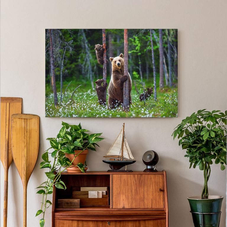 pinakas-se-kamva-orizontios-saloni-j-03601-shebear-bear-cubs-summer-forest-on