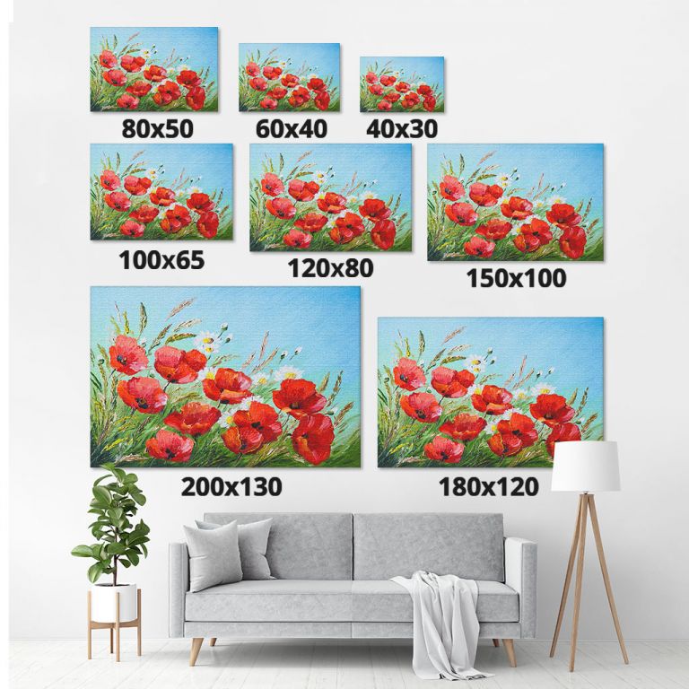 pinakas-se-kamva-orizontios-saloni-m-01038-poppies-in-the-field