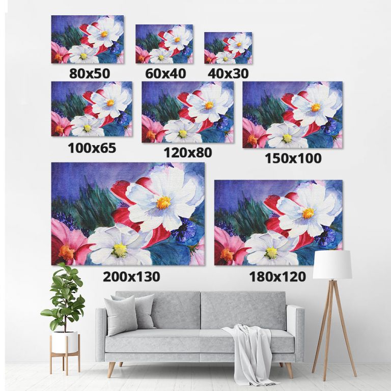 pinakas-se-kamva-orizontios-saloni-m-01126-painting-of-cosmos-flowers