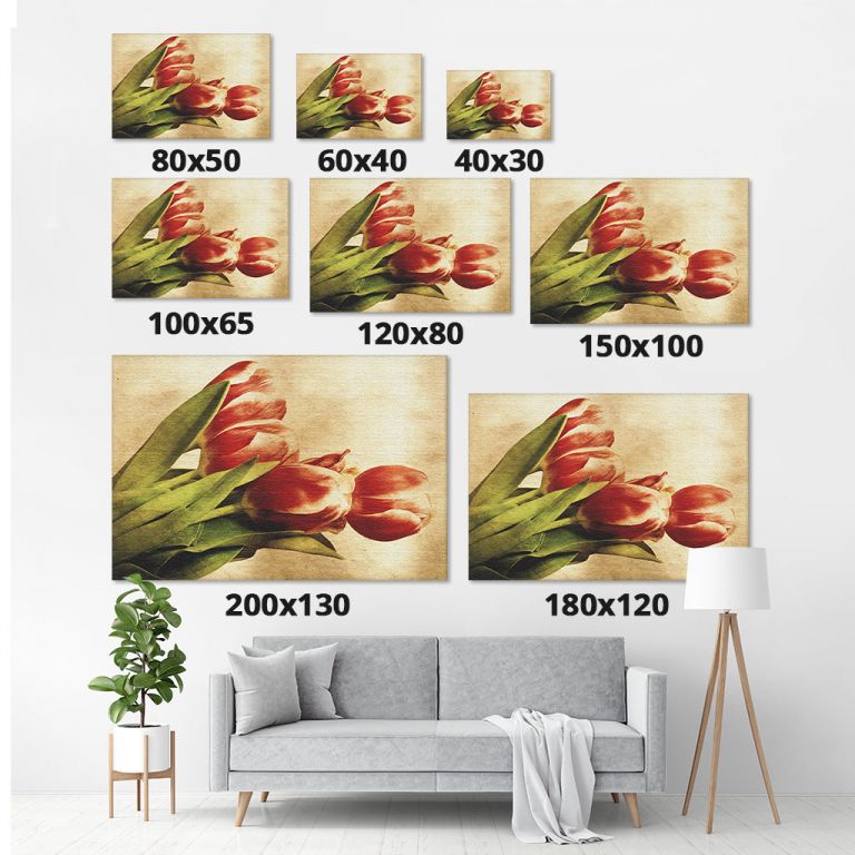 pinakas-se-kamva-orizontios-saloni-m-01134-vintage-tulips