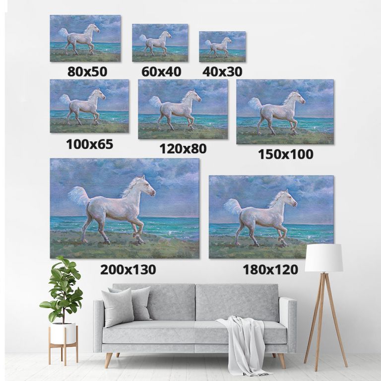 pinakas-se-kamva-orizontios-saloni-m-01135-white-horse-galloping-on-shore