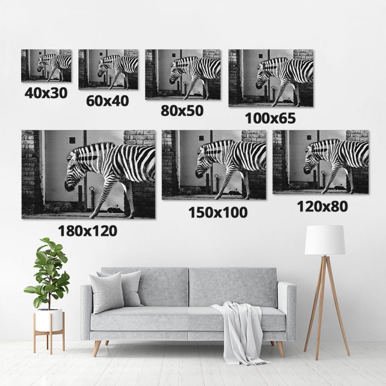 pinakas-se-kamva-orizontios-saloni-m-03523-black-white-zebra-abstract-stock-photo