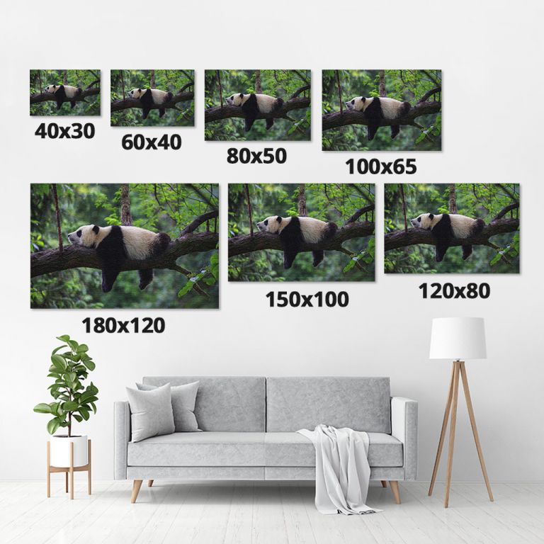 pinakas-se-kamva-orizontios-saloni-m-03588-panda-bear-sleeping-on-tree-branch