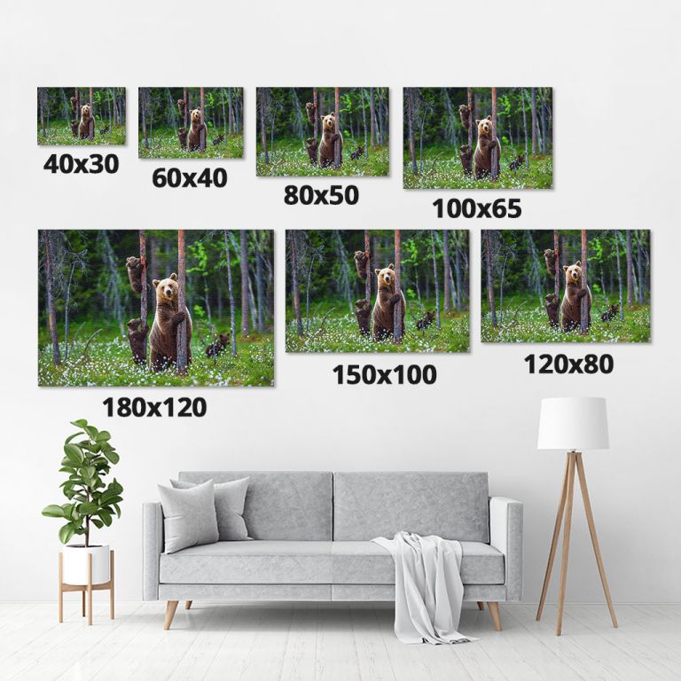 pinakas-se-kamva-orizontios-saloni-m-03601-shebear-bear-cubs-summer-forest-on