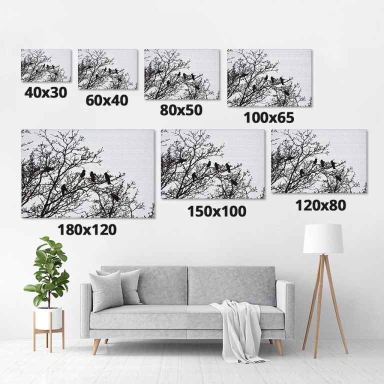 pinakas-se-kamva-orizontios-saloni-m-03605-silhouettes-crows-birds-on-bare-tree