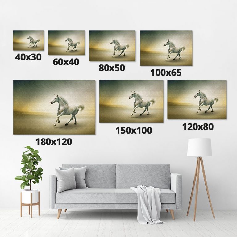 pinakas-se-kamva-orizontios-saloni-m-03628-white-horse-motion-108319508