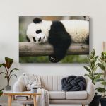 pinakas-se-kamva-orizontios-saloni-q-03589-panda-sleeping-on-tree-trunk