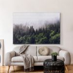 pinakas-se-kamva-orizontios-saloni-r-01613-forested-mountain-slope-low-lying-cloud